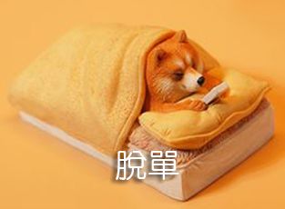 脫單