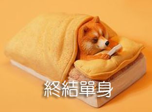 終結單身
